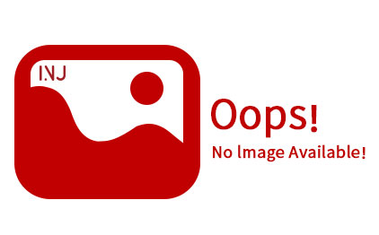 294050-04321 Diesel Fuel Pump HP4 Series Encyclopedia